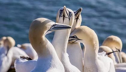 区块链可以应用到哪些行业？