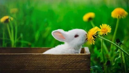 区块链技术时代，数字资产有什么特性？