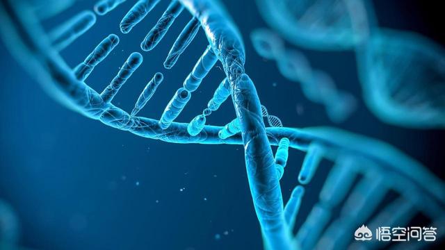 就数字资产而言，采用区块链与不采用区块链到底有什么差异？