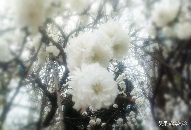 区块链和虚拟货币有什么关系？比特币值钱是因它是区块链技术运用的记账代码？