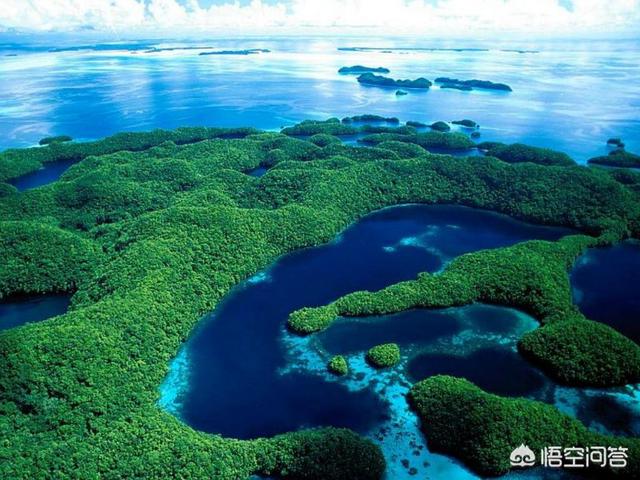 你拼命努力是为了什么<strong></p>
<p>币安创始人</strong>?是为了钱吗?