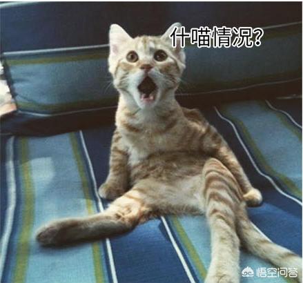 有奖活动:世界战争史上都有哪些不可思议的神操作<strong></p>
<p>币安tbc</strong>?