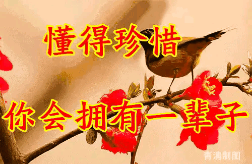 2020年有哪些行业会受到疫情的影响<strong></p>
<p>币安智能链</strong>?这些受影响的行业该何去何从?