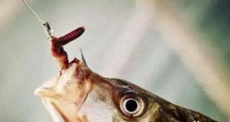 你身边有被“杀猪盘”骗的人吗<strong></p>
<p>币安智能链</strong>?