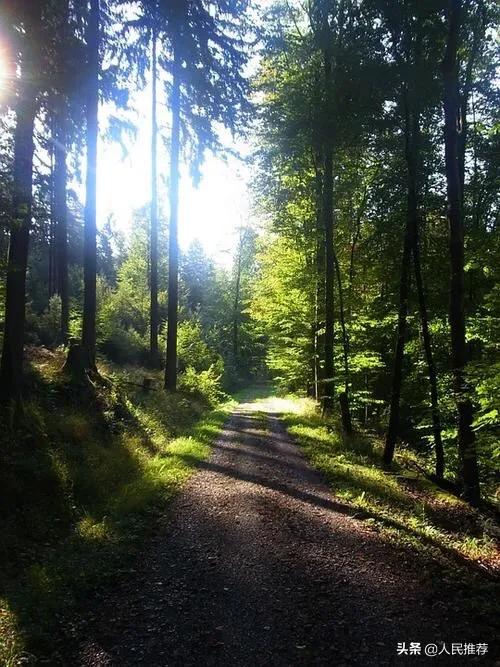 区块链的机遇和风险是什么<strong></p>
<p>币安智能链</strong>?为什么?