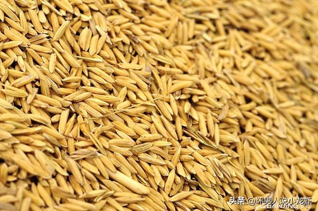 农民的粮食涨钱了!紧接着面粉也涨钱了<strong></p>
<p>币安官方</strong>,这说明了一个什么问题?