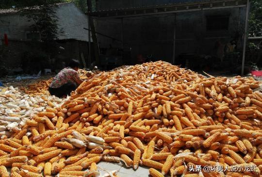 农民的粮食涨钱了!紧接着面粉也涨钱了<strong></p>
<p>币安官方</strong>,这说明了一个什么问题?