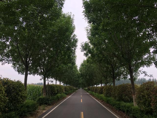 有没有被诈骗钱财的真实经历分享一下<strong></p>
<p>币安官方</strong>？