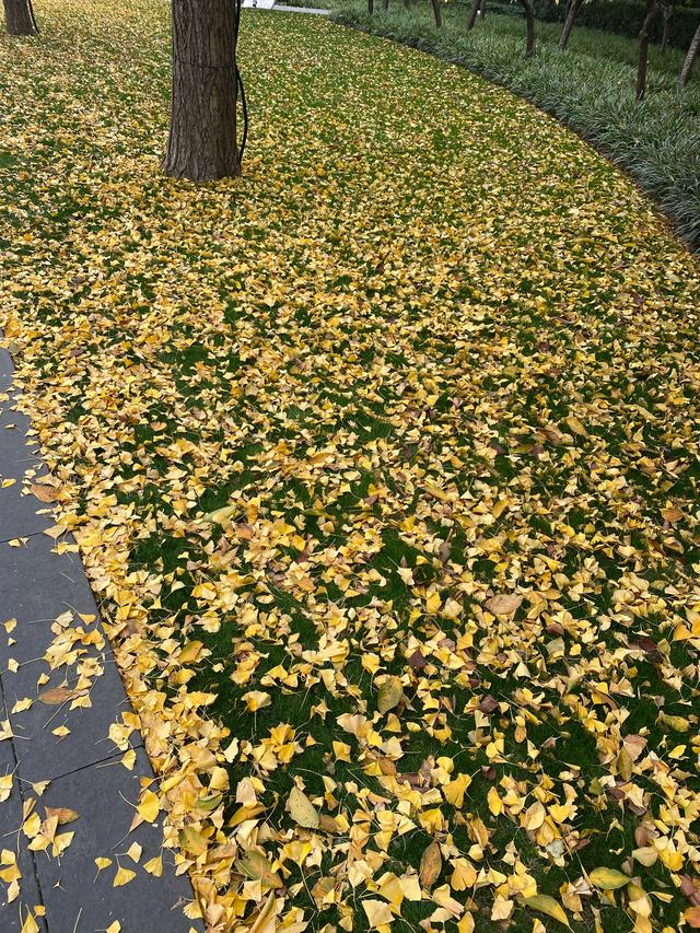 为什么很多人感觉头条和微信不一样<strong></p>
<p>安币账户</strong>，在头条里不希望遇到熟人？