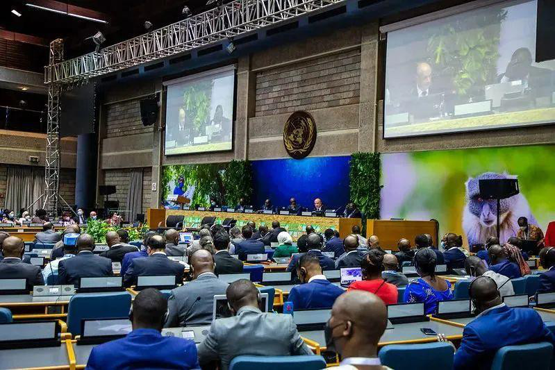 纽约将无肉日列为官方节日<strong></p>
<p>币安官方币</strong>!南方冰盖真的塌了