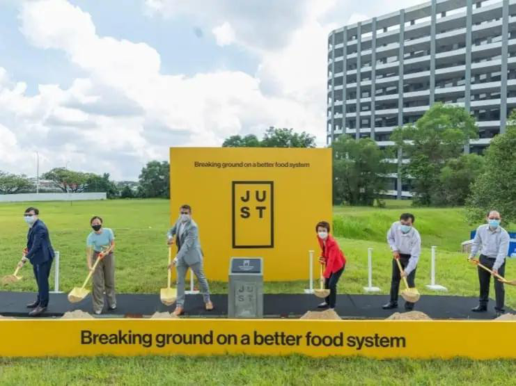 纽约将无肉日列为官方节日<strong></p>
<p>币安官方币</strong>!南方冰盖真的塌了