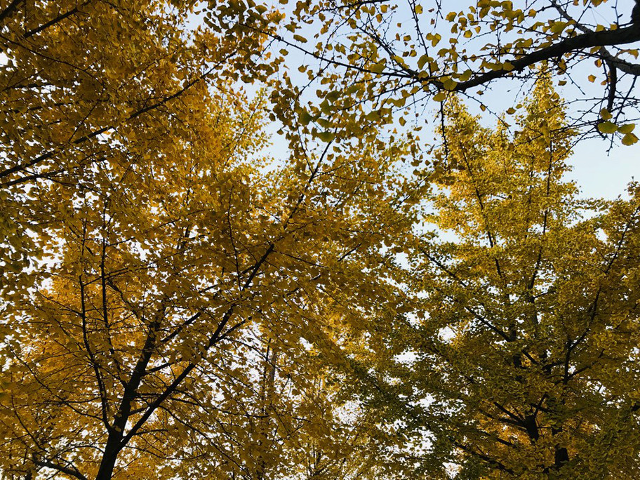 在币圈要懂得套现<strong></p>
<p>买币安币</strong>,落袋为安