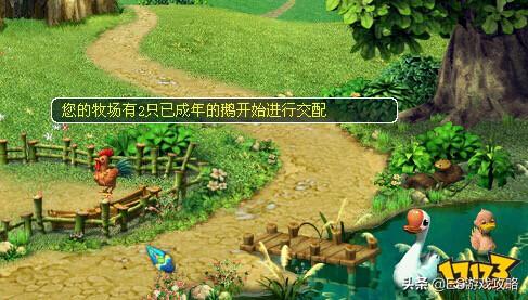 梦幻西游怎么刷储备金最快<strong></p>
<p>安币矿池</strong>?