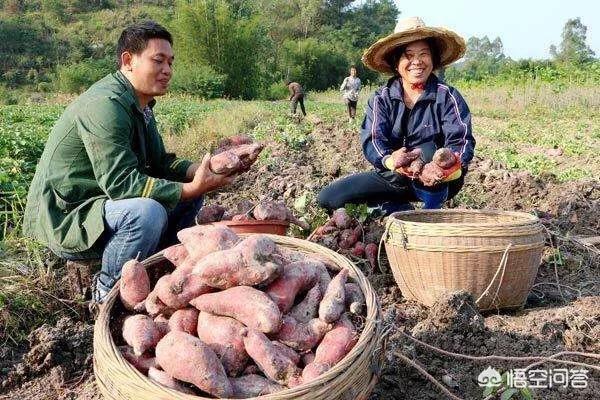 属于70、80后记忆的故事<strong></p>
<p>安币矿池</strong>,你还记得多少?