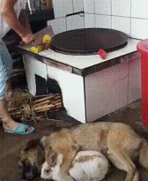 有哪些让你笑到停不下来的搞笑图片或段子<strong></p>
<p>币安矿池币</strong>?