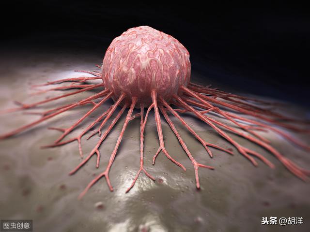 不小心把癌症腹水滴在手上有什么后果<strong></p>
<p>币安数字货币</strong>?