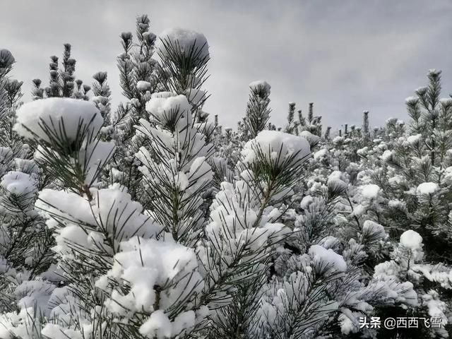 网上被诈骗报案后成功取回的几率有多大<strong></p>
<p>币安数字货币</strong>?