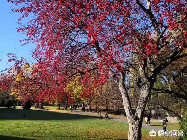 安装天然气怎么收费<strong></p>
<p>币安如何充值</strong>?