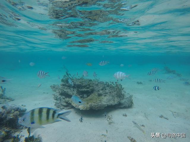 九月底想出国旅游<strong></p>
<p>安币推荐</strong>,两个人,预算一人1.5w-2w软妹币,有什么好去处?免签最好?