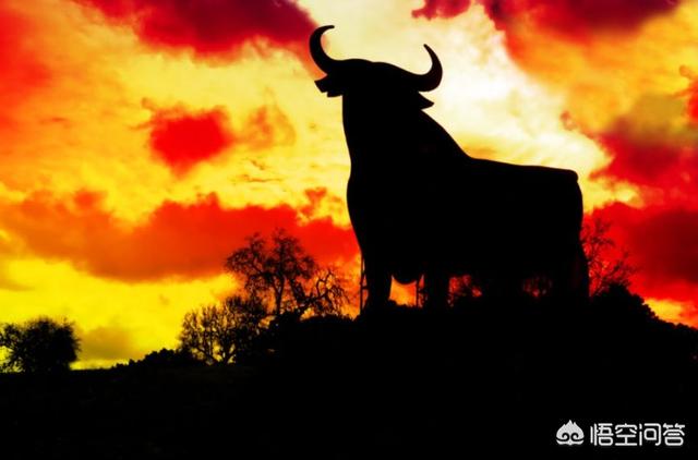 稳定币USDT突然暴跌<strong></p>
<p>币安币美元</strong>,如何影响整个数字货币市场?