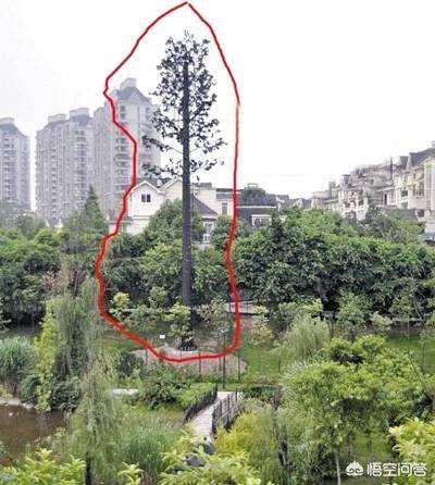 为什么移动、联通、电信要把基站伪装起来<strong></p>
<p>币安app最新版</strong>?