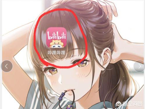 手机B站如何查看自己的B币钱包<strong></p>
<p>狗狗币安卓钱包</strong>?