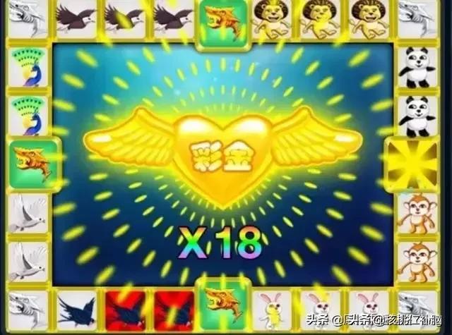 网络赌博是怎么套路你的<strong></p>
<p>币安网怎么充值</strong>?