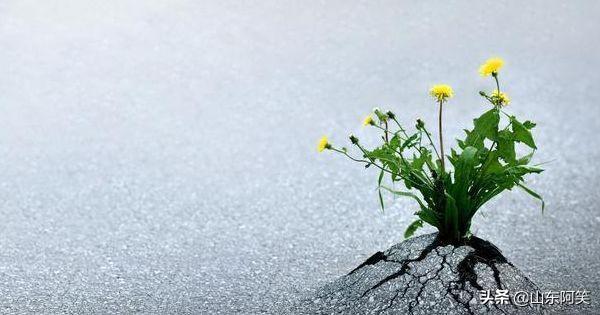 不安于现状<strong></p>
<p>币安网创始人</strong>,有错吗?