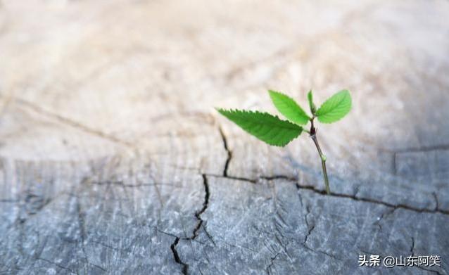 不安于现状<strong></p>
<p>币安网创始人</strong>,有错吗?