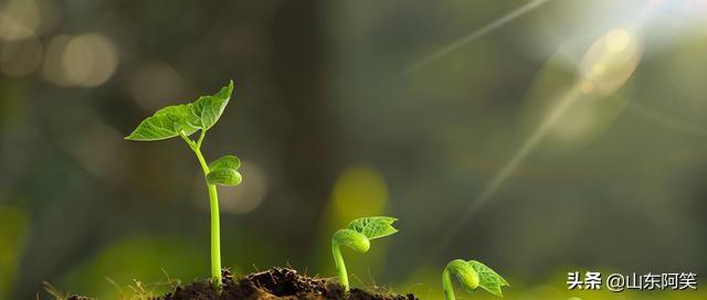 不安于现状<strong></p>
<p>币安网创始人</strong>,有错吗?