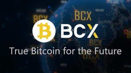 巴菲特为什么说比特币是泡沫<strong></p>
<p>币安bcx</strong>?