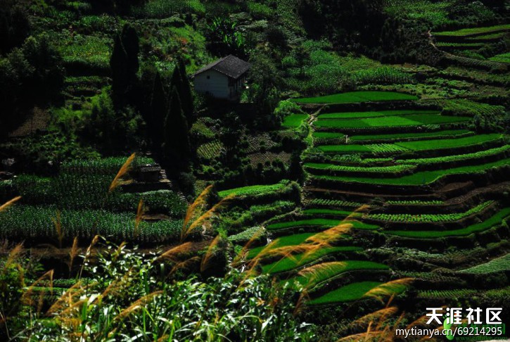 雪花啤酒古道探秘2012基金第3站之重温红色历史