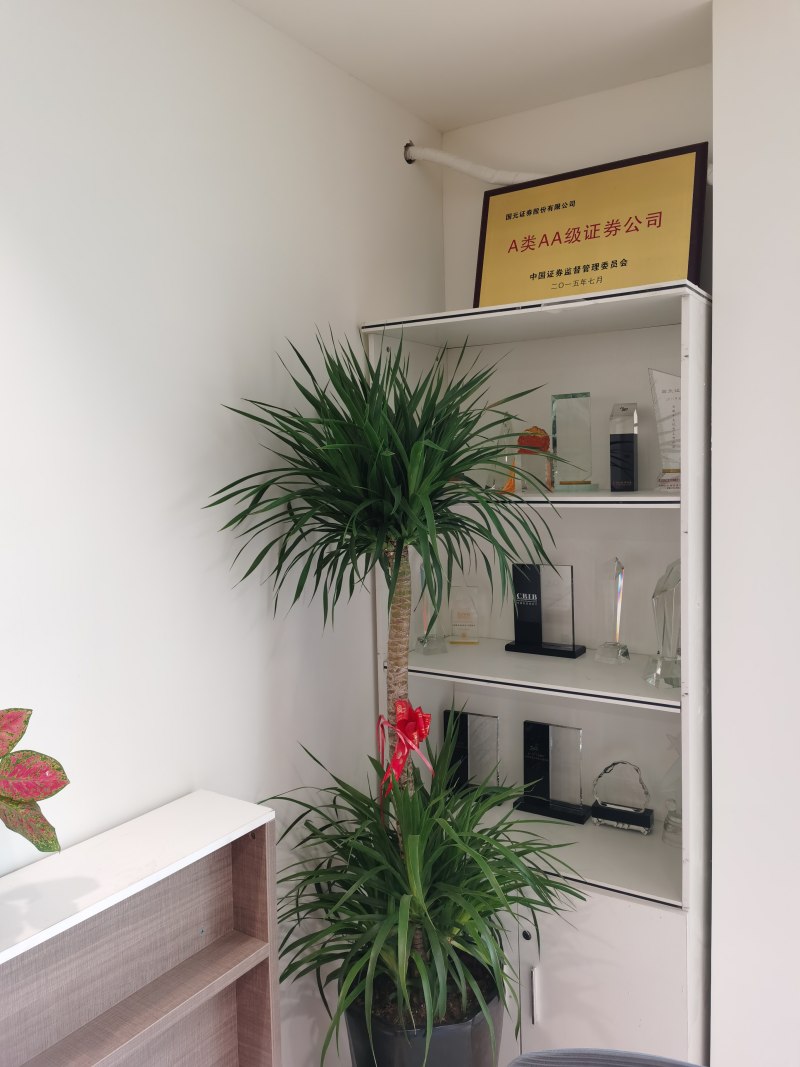 国元证券招聘(国元证券招聘官网)