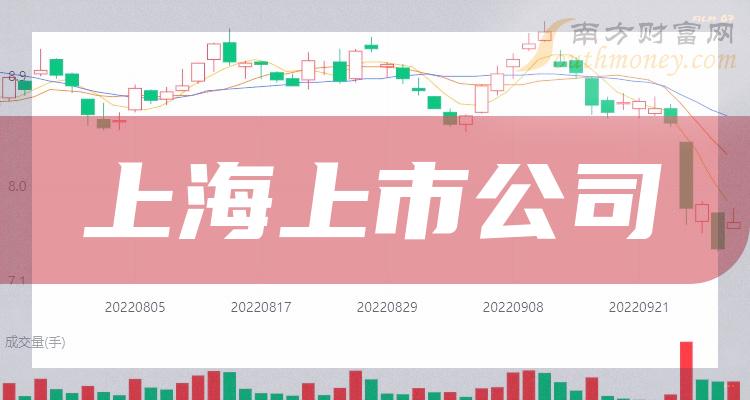 爱建证券(爱建证券有限责任公司) 爱建证券(爱建证券有限责任公司)