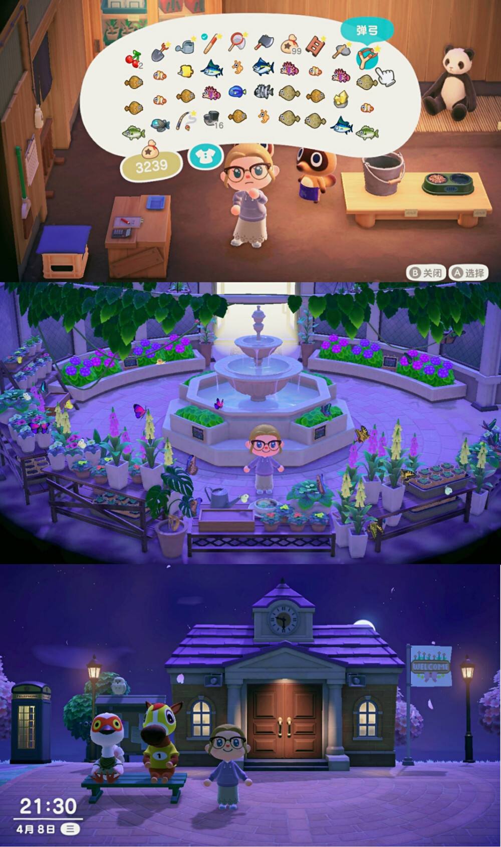 理财动森(动物森林理财) 理财动森(动物森林理财)