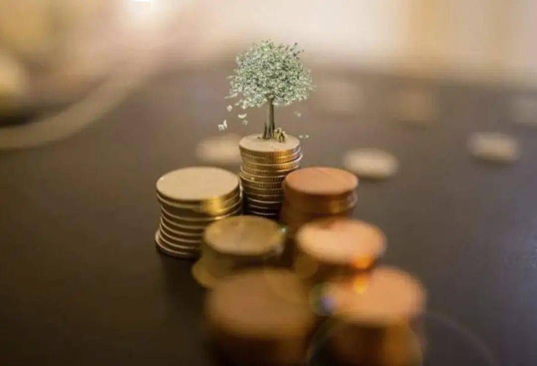 偏债理财(偏债理财产品)