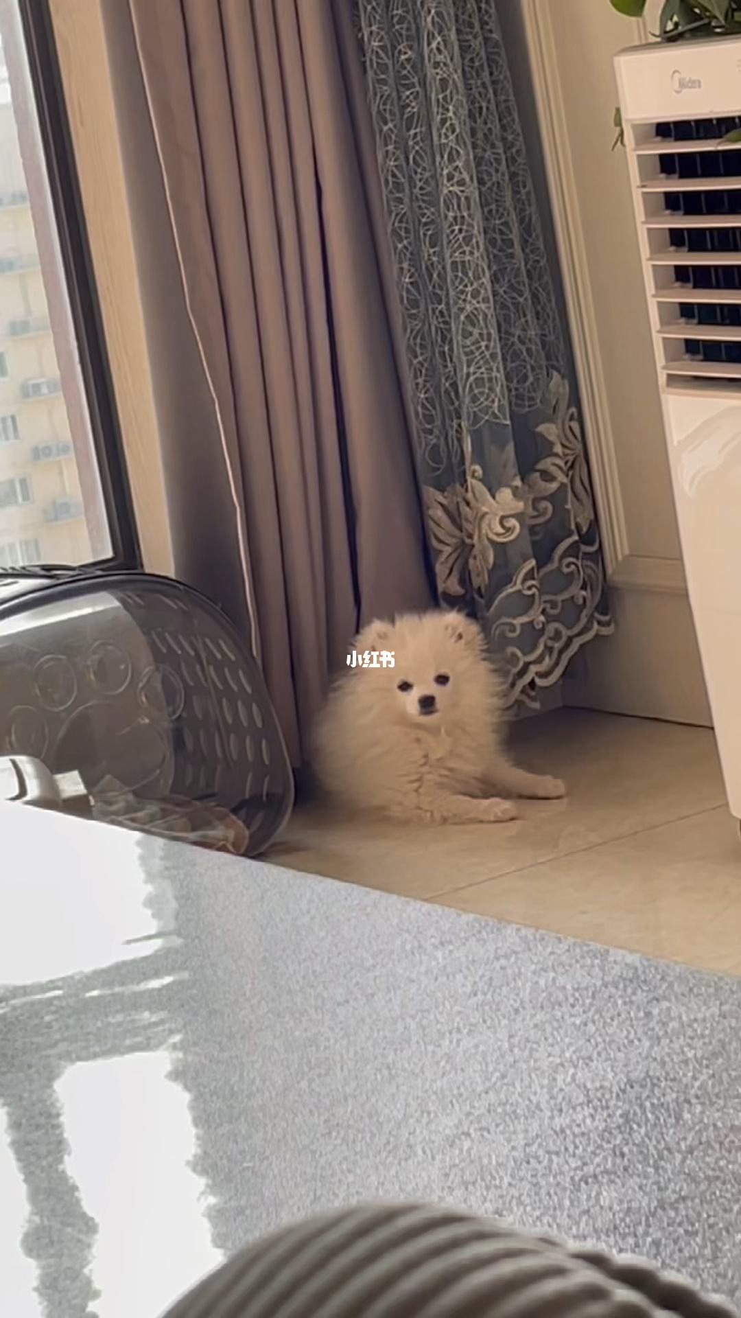 非静止理财(静止型理财产品) 非静止理财(静止型理财产品)