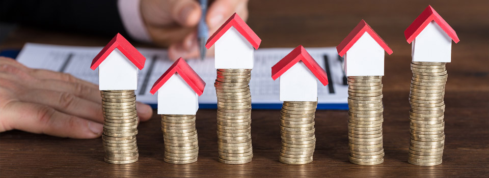 募集期理财(理财产品的募集期是什么意思)