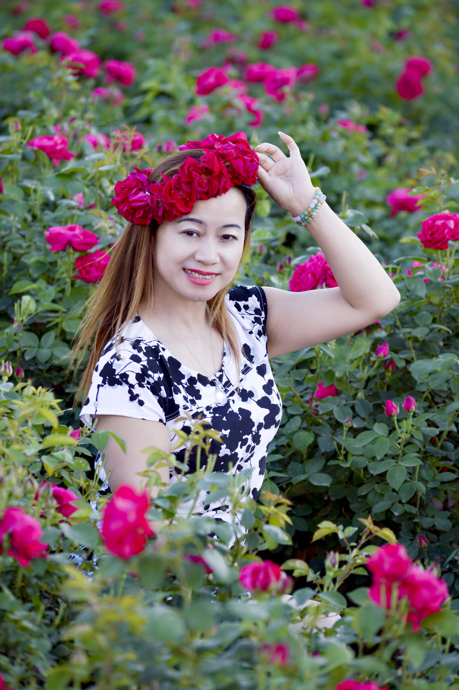 玫瑰田园理财(玫瑰田园家庭农场)