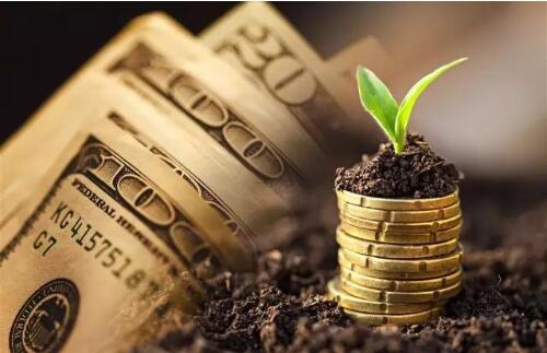 大肥理财(大客户理财) 大肥理财(大客户理财)