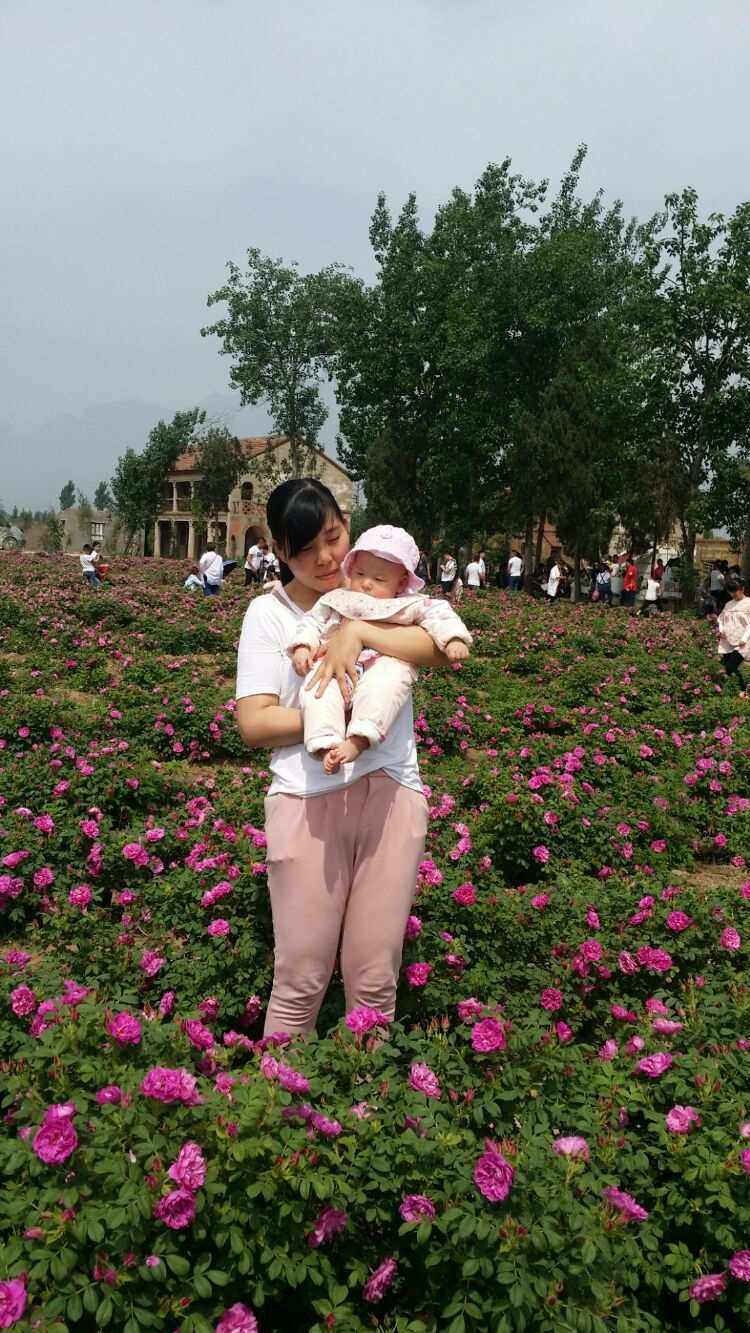 玫瑰田园理财(玫瑰园投资有限公司)