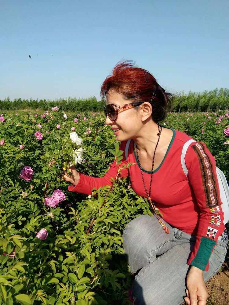 玫瑰田园理财(玫瑰园投资有限公司) 玫瑰田园理财(玫瑰园投资有限公司)