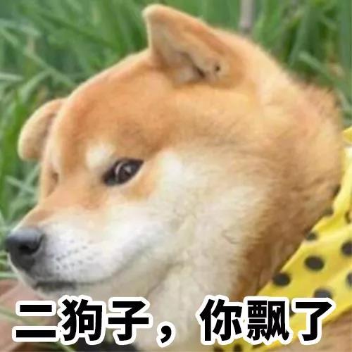 二狗子理财(二狗子个人资料) 二狗子理财(二狗子个人资料)