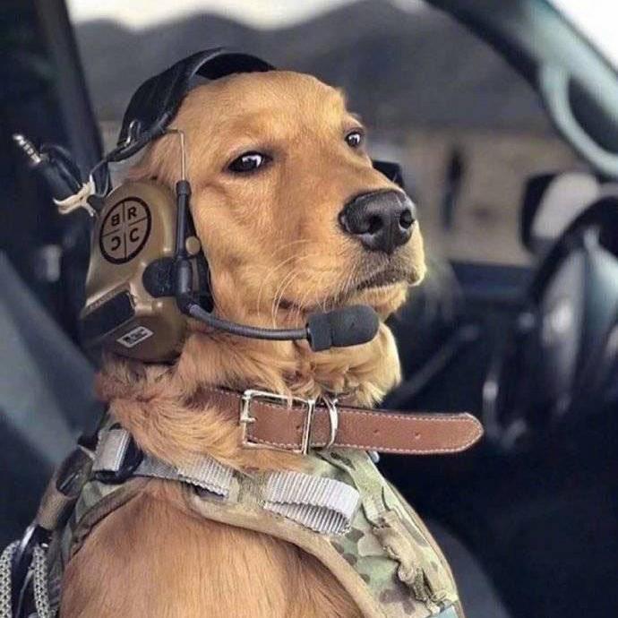 二狗子理财(二狗子个人资料) 二狗子理财(二狗子个人资料)