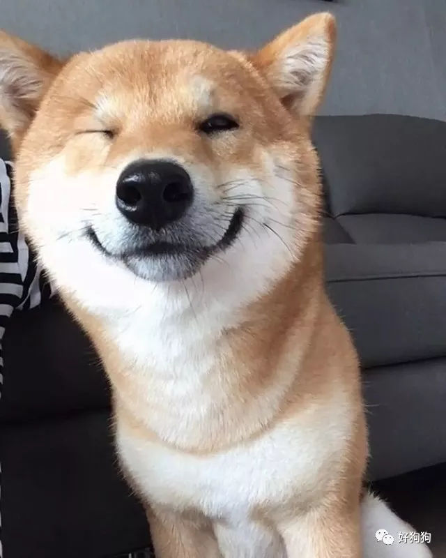 二狗子理财(二狗子y e) 二狗子理财(二狗子y e)