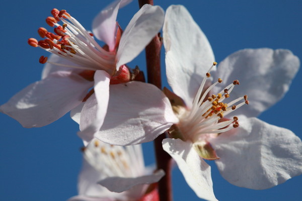 朵朵理财举报(朵朵金融理财官网) 朵朵理财举报(朵朵金融理财官网)