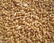 大麦理财案(大麦理财app打不开) 大麦理财案(大麦理财app打不开)