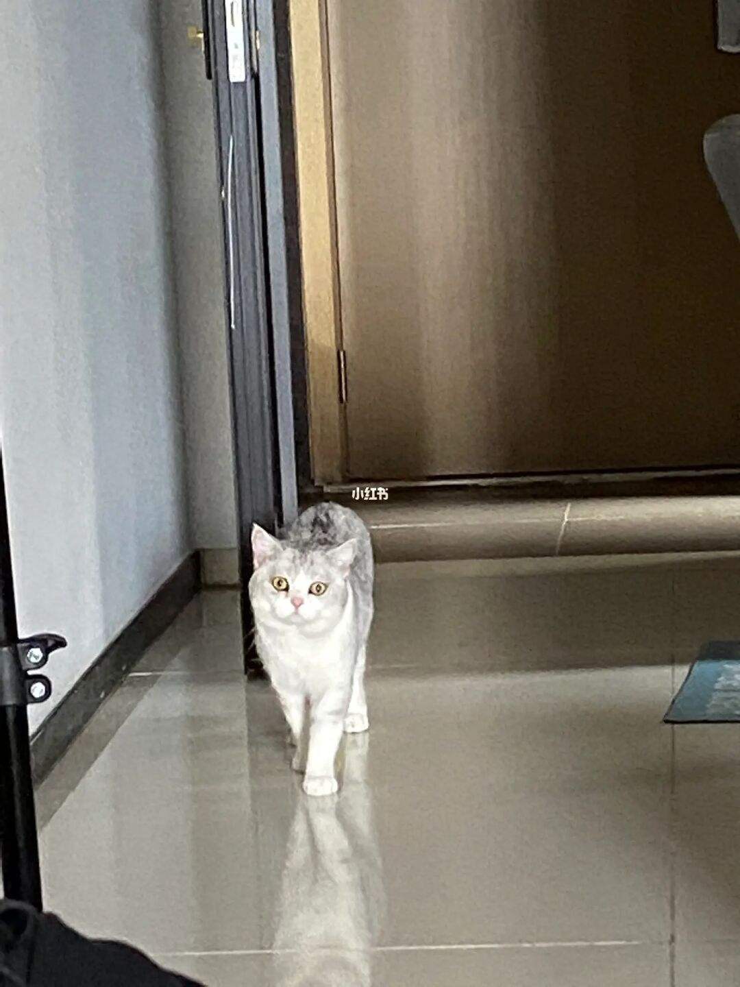 非静止理财(开放式非静止理财是什么意思)