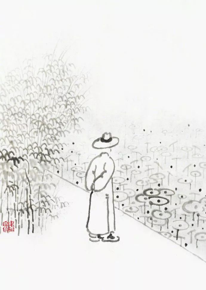 关于老树没理财的信息