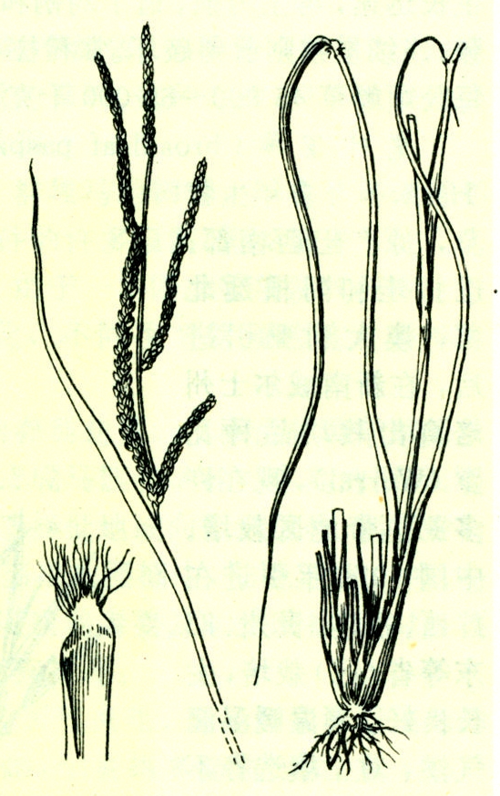 汇冕理财(汇正财经理财) 汇冕理财(汇正财经理财)